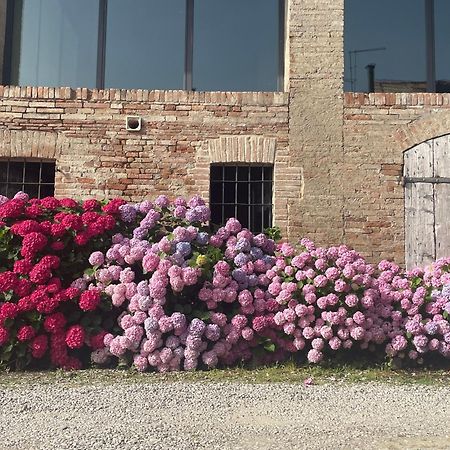 B&B Il Conte Giacomo Viarolo Экстерьер фото